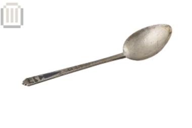 Silver spoon