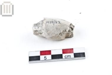 Τμήμα ειδωλίου