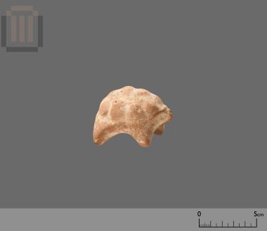 Terracotta figurine of a tortoise