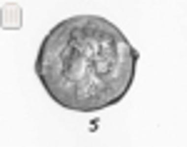 Coin of Nuceria Alfaterna