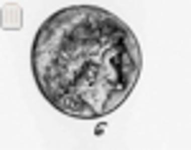 Coin of Suessa Aurunca