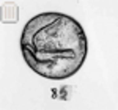 Νόμισμα από τη Σικυώνα