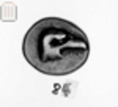 Coin of Elis