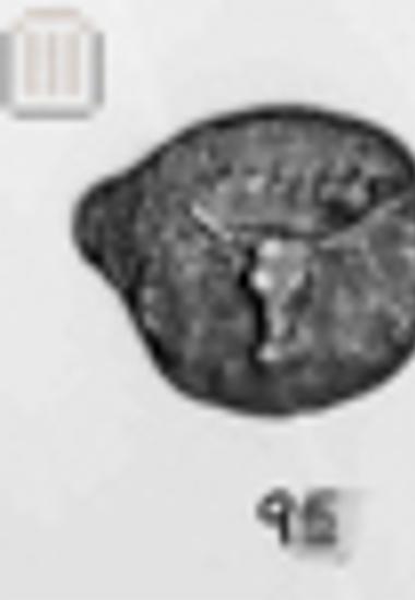 Coin of Polyrhenion