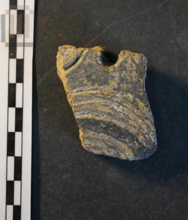 Fragment of closed shaped vase