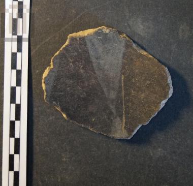 Part of open shaped phiale