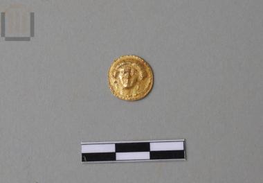 Χρυσή δανάκη