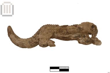 Ομοίωμα κροκοδείλου