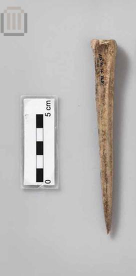 Οστέινος οπέας