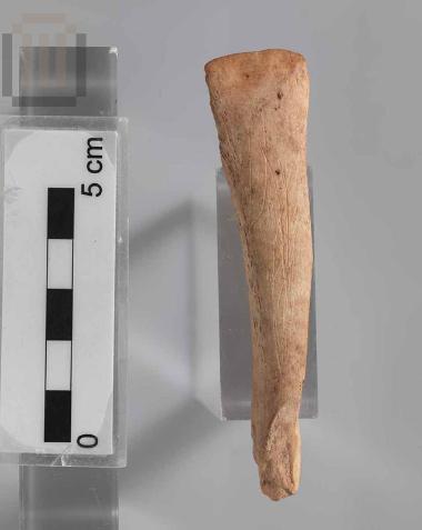 Οστέινος οπέας