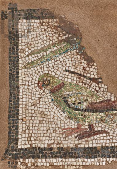 Part of a mosaic floor with depiction of parrots