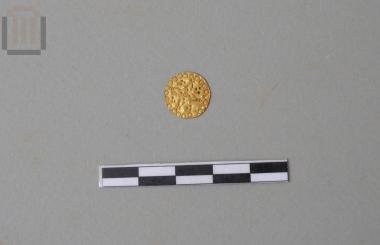 Χρυσή δανάκη με ρόδακα