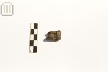 Bronze knucklebone (astragal)