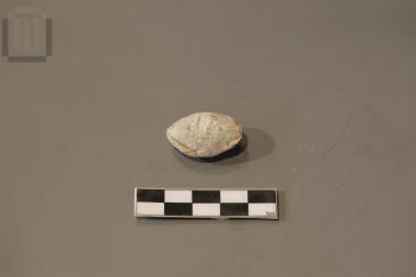Lead sling bullet