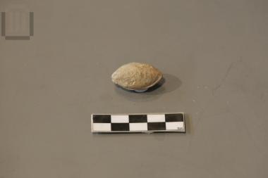 Lead sling bullet