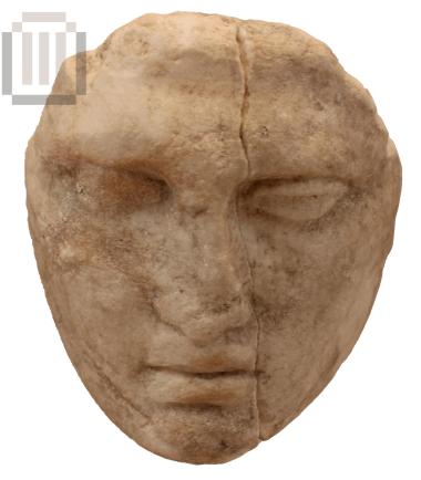 Τμήμα κεφαλής Αμαζόνας