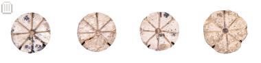 Discs