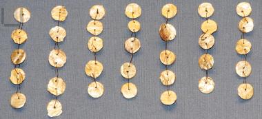 Disc jewels