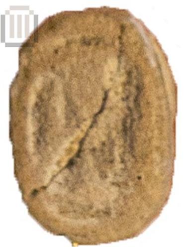 Scarab