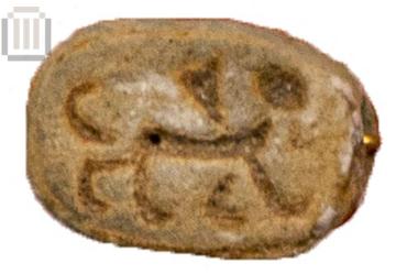 Scarab