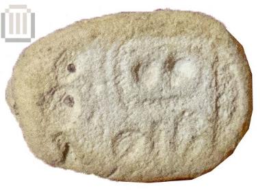 Scarab
