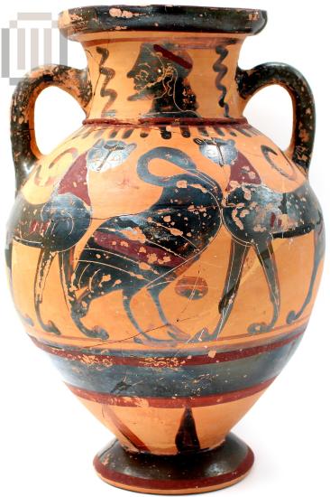 Amphora
