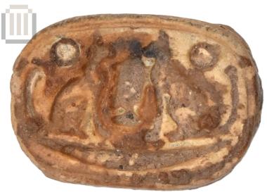 Seal