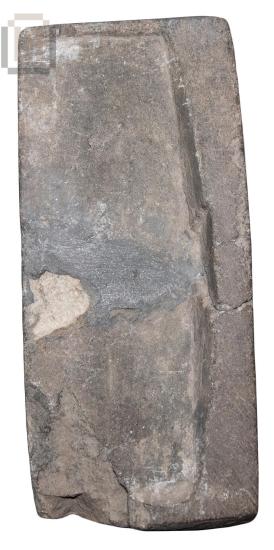 Μήτρα