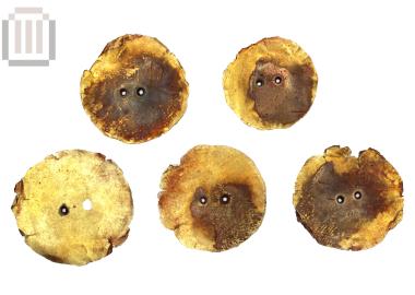 Gold discs