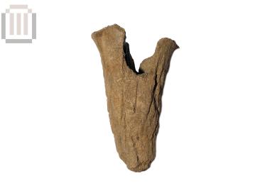 Πυρήνας κεράτου προβάτου από τη Βίτσα