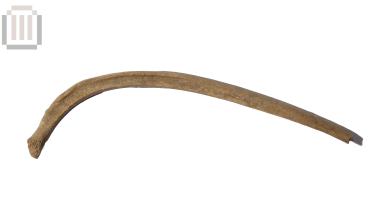 Πλευρό αιγοπροβάτου από τη Βίτσα