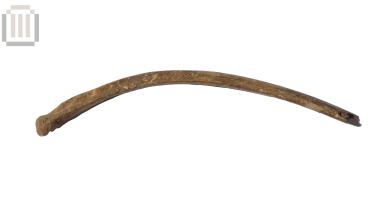 Πλευρό αιγοπροβάτου από τη Βίτσα