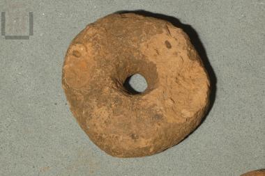 Discoid whorl from Grammeno