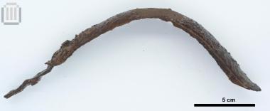 Σιδερένια στλεγγίδα από το Προδρόμι