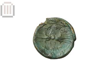 Bronze coin of the Epirote Alliance from Platania