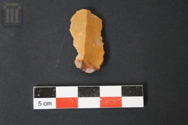 Μικρολεπίδα από τον Νερότοπο Καρβουναρίου