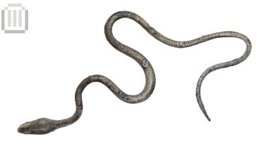 Snake model