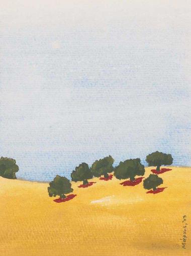 Πεύκα το καλοκαίρι