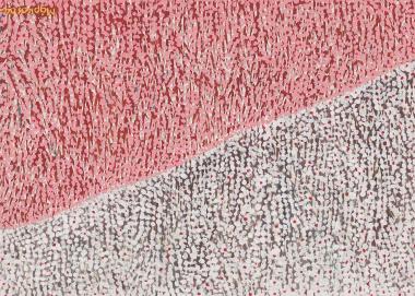 Ανθισμένο δάσος