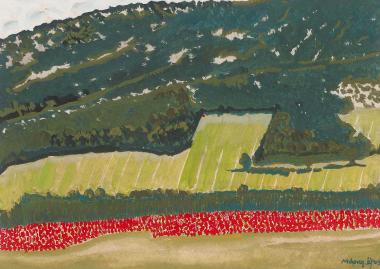 Ανοιξιάτικη πλαγιά