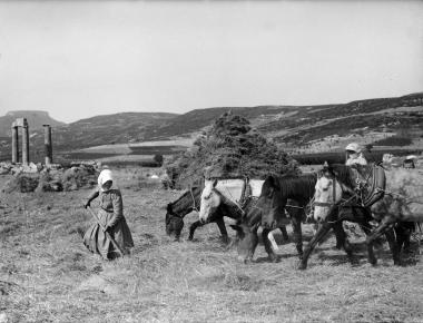 Némée, foulage du blé (Νεμέα, αλώνισμα σιταριού)
