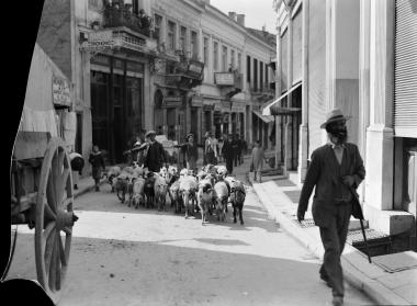 Athènes, rue dans la centre, 1919 (Αθήνα, δρόμος στο κέντρο, 1919)
