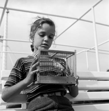 Στιγμιότυπο σε πλοίο