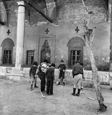 Κοινωνική ζωή