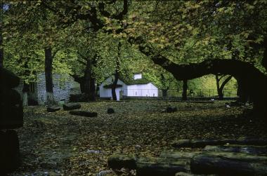 Τοπιογραφία