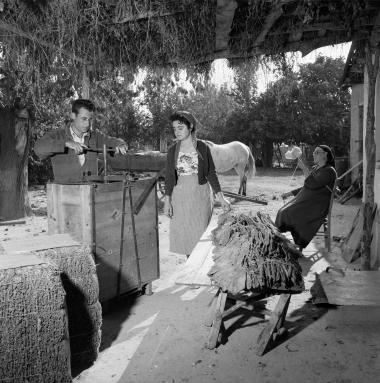 Σκηνή εργασίας. Στιγμιότυπο επεξεργασίας καπνόφυλλων