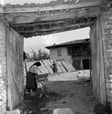 Σκηνή εργασίας. Στιγμιότυπο επεξεργασίας καπνόφυλλων