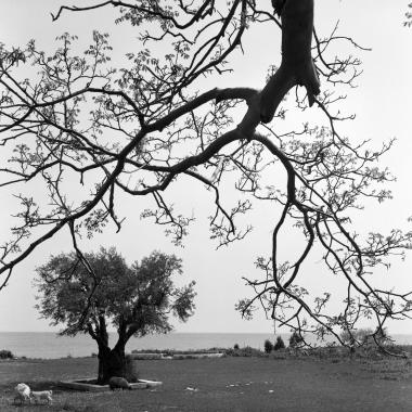 Αη-Γιάννης, Πήλιο
