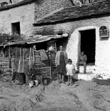 Φυτόκο Μαγνησίας