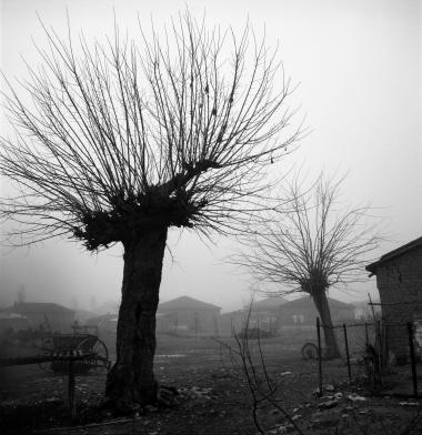 Χειμωνιάτικο τοπίο, Πήλιο